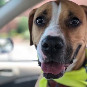 Meet your Posher, Colleen